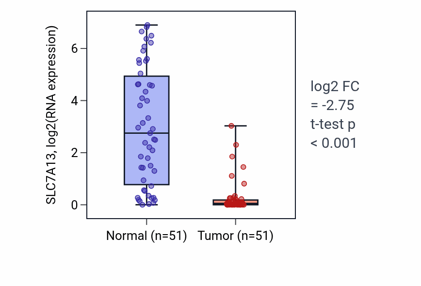 Tumor-vs-normal expression box plot for SLC7A13 RNA in KIRC.