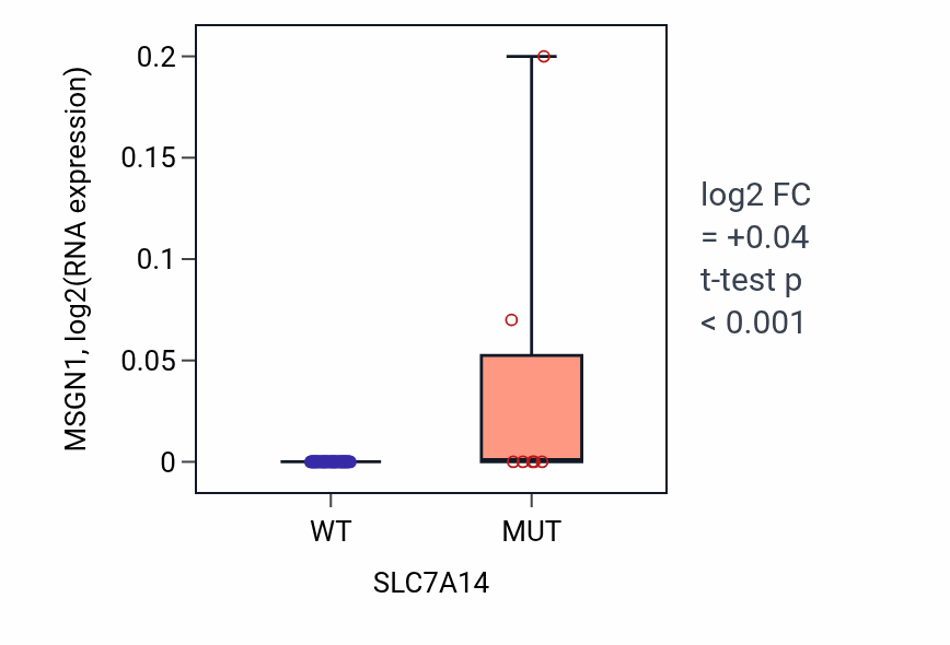 Box plot of MSGN1 in SLC7A14-low vs SLC7A14-high samples in SKIN.