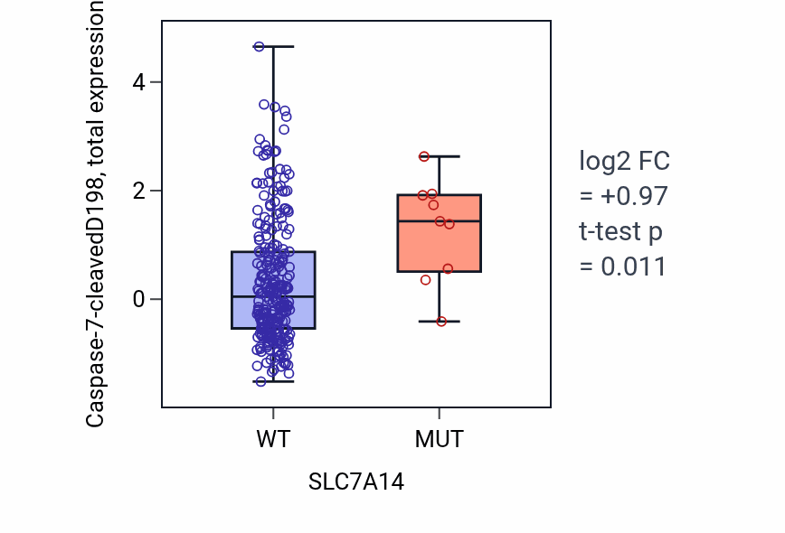 Box plot of Caspase-7-cleavedD198 in SLC7A14-low vs SLC7A14-high samples in STAD.