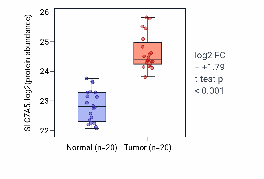 Tumor-vs-normal mass-spec protein box plot for SLC7A5 in LSCC.