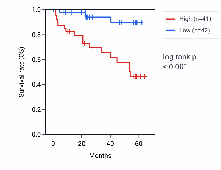 Kaplan&ndash;Meier survival curve for SLC7A5 mass-spec protein-high vs -low samples in CCRCC.
