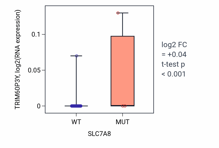 Box plot of TRIM60P3Y in SLC7A8-low vs SLC7A8-high samples in BRCA.