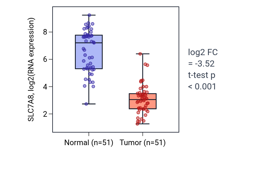 Tumor-vs-normal expression box plot for SLC7A8 in KIRC.