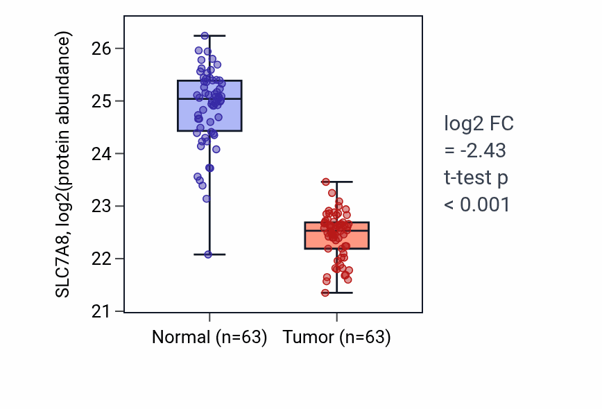 Tumor-vs-normal mass-spec protein box plot for SLC7A8 in CCRCC.
