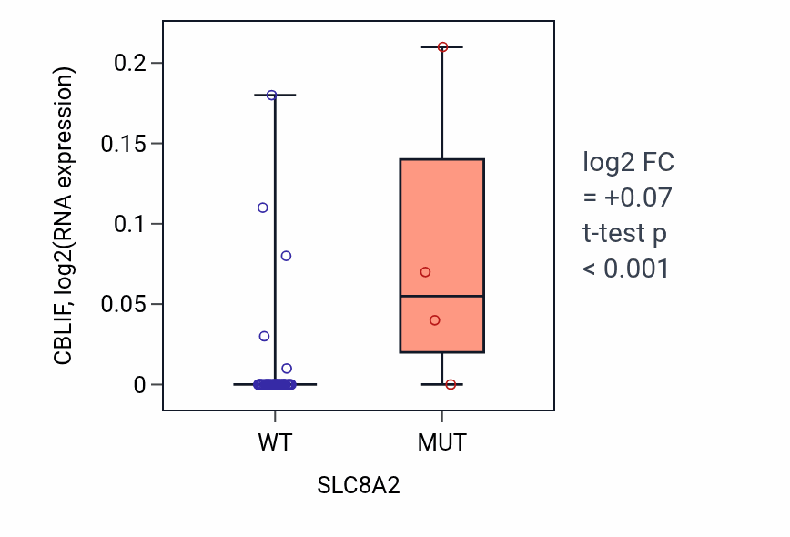 Box plot of CBLIF in SLC8A2-low vs SLC8A2-high samples in BREAST.
