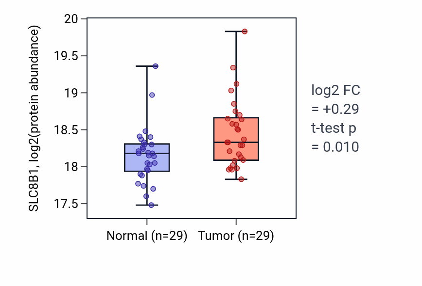 Tumor-vs-normal mass-spec protein box plot for SLC8B1 in HNSC.