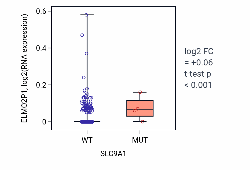Box plot of ELMO2P1 in SLC9A1-low vs SLC9A1-high samples in BRCA.