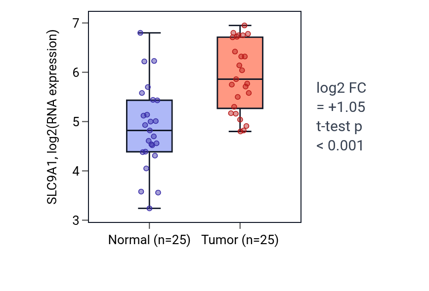 Tumor-vs-normal expression box plot for SLC9A1 in HNSC.