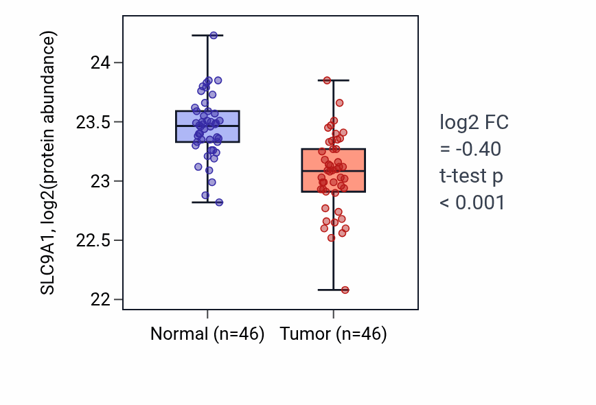 Tumor-vs-normal mass-spec protein box plot for SLC9A1 in COAD.