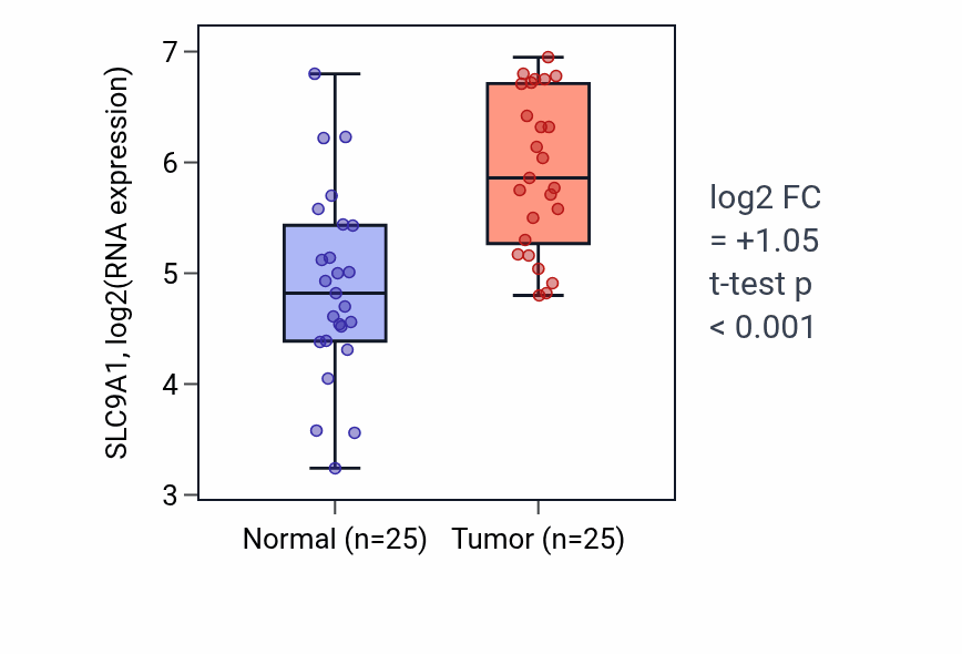 Tumor-vs-normal expression box plot for SLC9A1 RNA in HNSC.