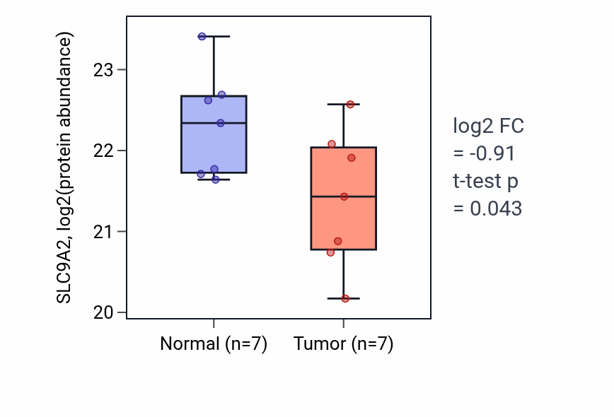 Tumor-vs-normal mass-spec protein box plot for SLC9A2 in COAD.
