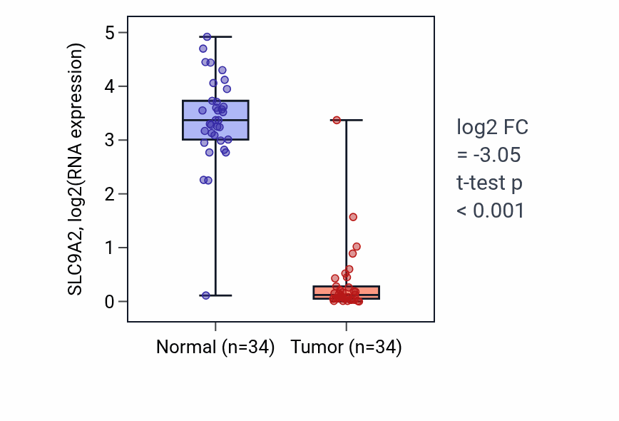 Tumor-vs-normal expression box plot for SLC9A2 RNA in KIRC.