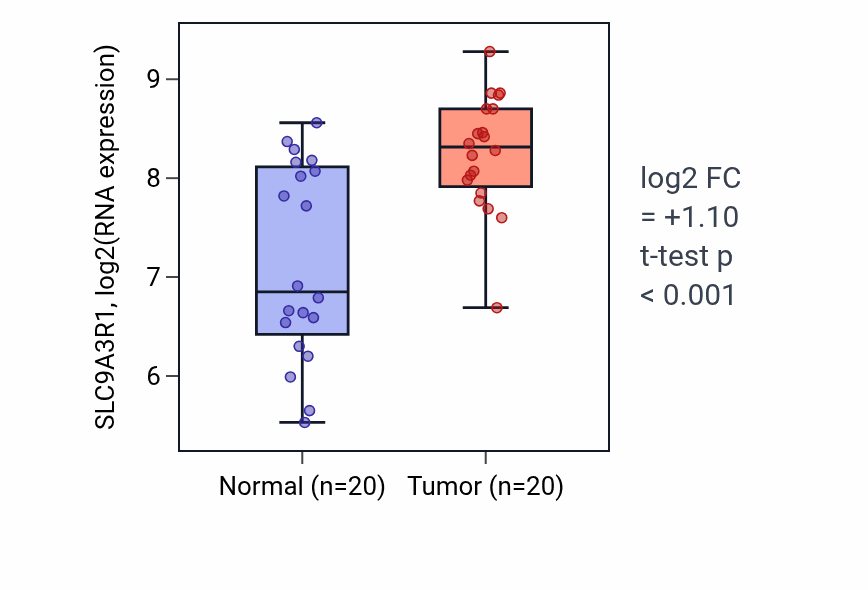 Tumor-vs-normal expression box plot for SLC9A3R1 RNA in KIRC.