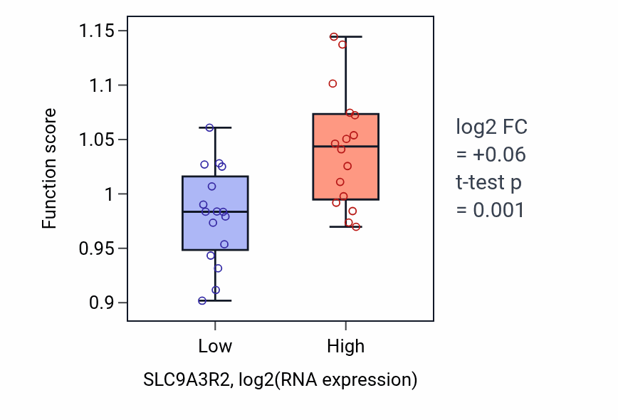 Box plot of Regulation of muscle adaptation in SLC9A3R2-low vs SLC9A3R2-high samples in OESOPHAGUS.