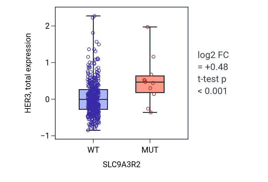 Box plot of HER3 in SLC9A3R2-low vs SLC9A3R2-high samples in UCEC.
