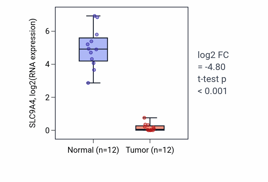 Tumor-vs-normal expression box plot for SLC9A4 in KIRC.