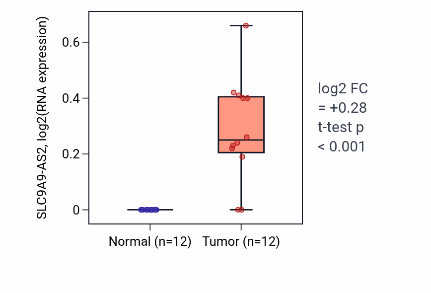 Tumor-vs-normal expression box plot for SLC9A9-AS2 in KIRC.