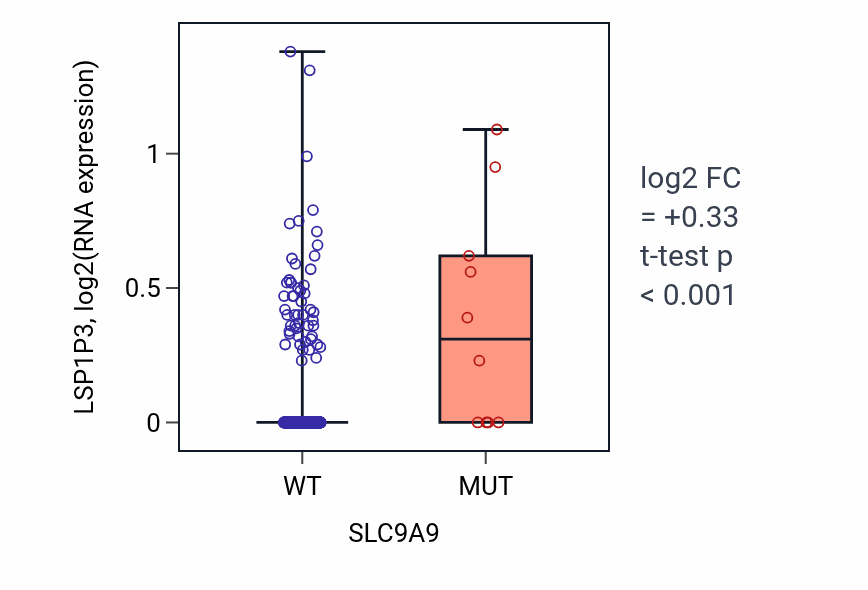 Box plot of LSP1P3 in SLC9A9-low vs SLC9A9-high samples in LUAD.