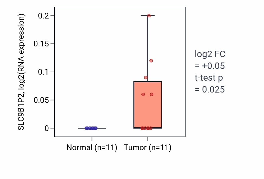 Tumor-vs-normal expression box plot for SLC9B1P2 in HNSC.