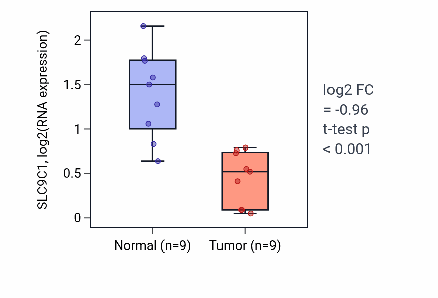 Tumor-vs-normal expression box plot for SLC9C1 RNA in THCA.