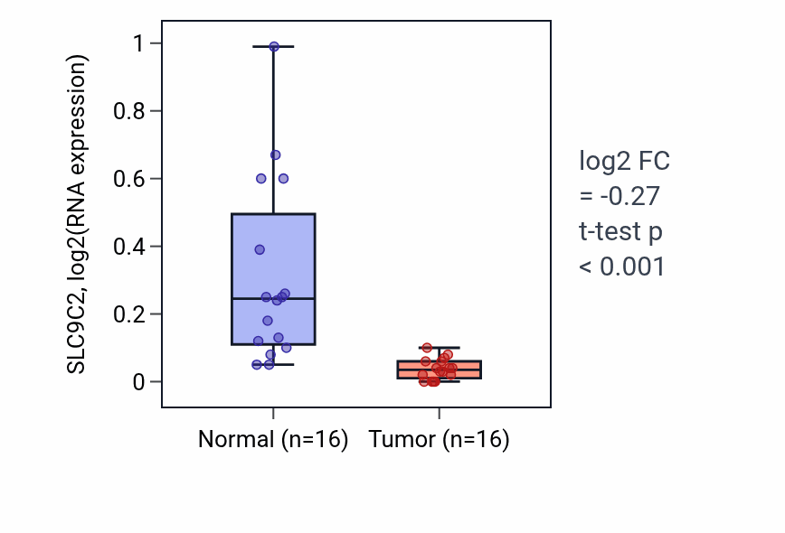 Tumor-vs-normal expression box plot for SLC9C2 in LUSC.