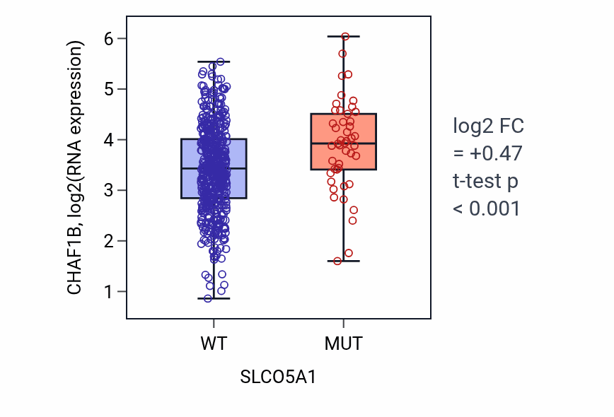 Box plot of CHAF1B in SLCO5A1-low vs SLCO5A1-high samples in UCEC.