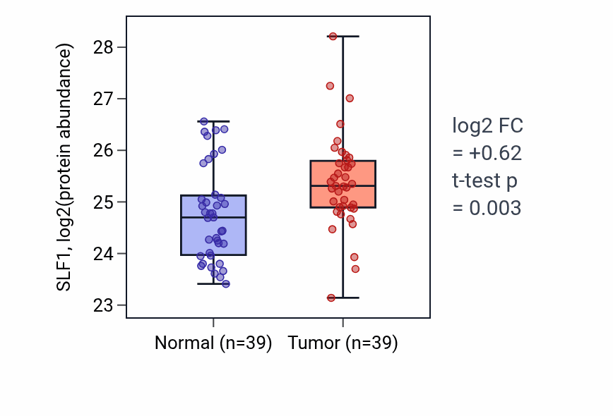 Tumor-vs-normal mass-spec protein box plot for SLF1 in PDAC.