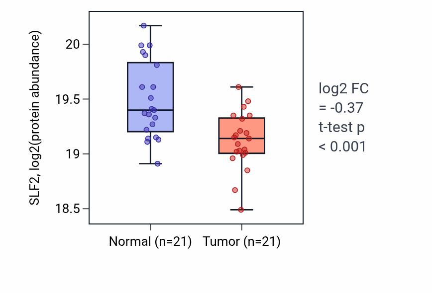 Tumor-vs-normal mass-spec protein box plot for SLF2 in LUAD.