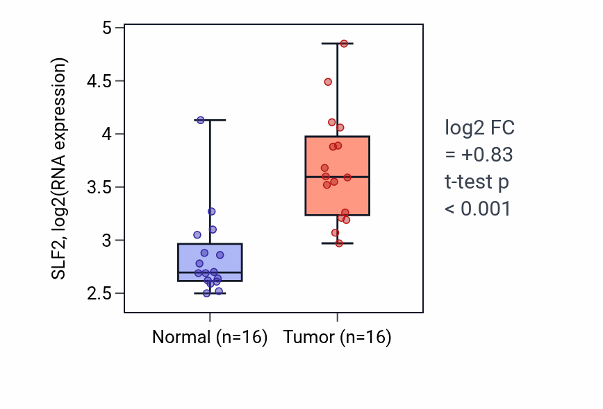 Tumor-vs-normal expression box plot for SLF2 RNA in KIRP.