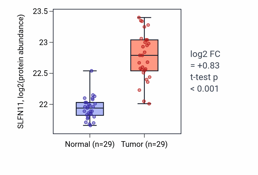 Tumor-vs-normal mass-spec protein box plot for SLFN11 in CCRCC.