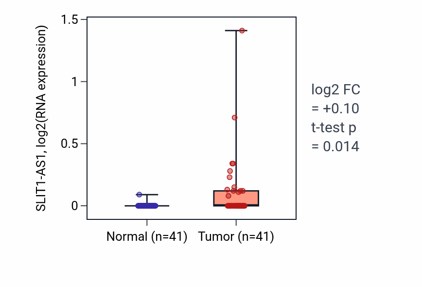 Tumor-vs-normal expression box plot for SLIT1-AS1 in THCA.