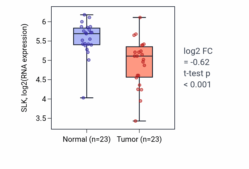 Tumor-vs-normal expression box plot for SLK RNA in THCA.