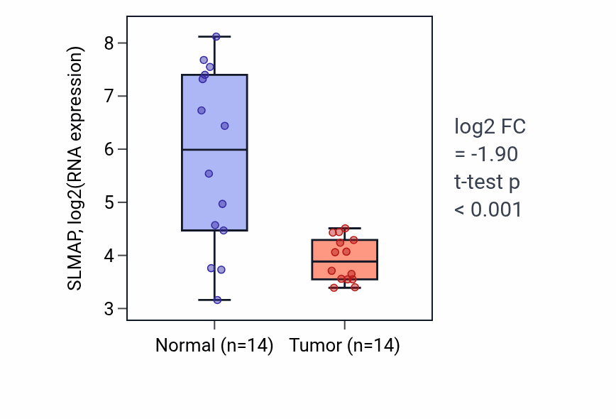 Tumor-vs-normal expression box plot for SLMAP RNA in BLCA.