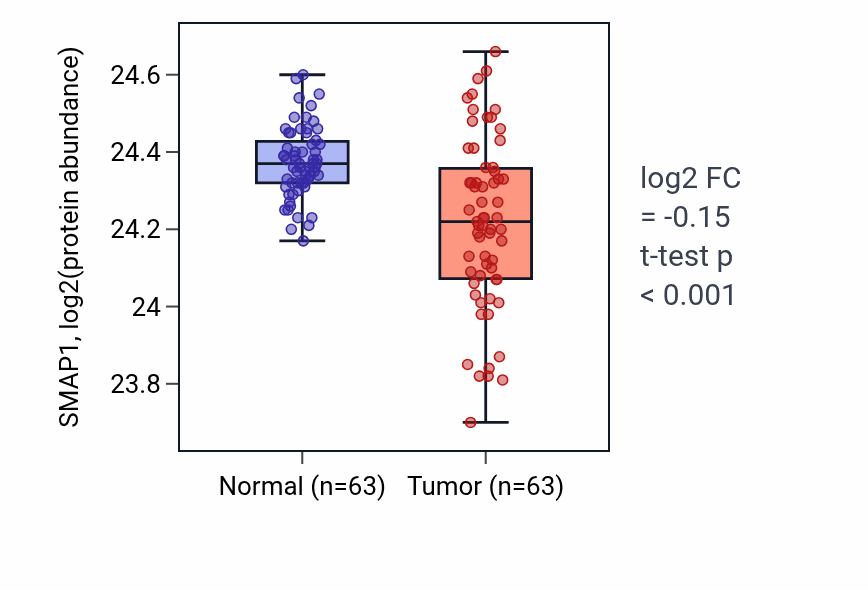 Tumor-vs-normal mass-spec protein box plot for SMAP1 in CCRCC.