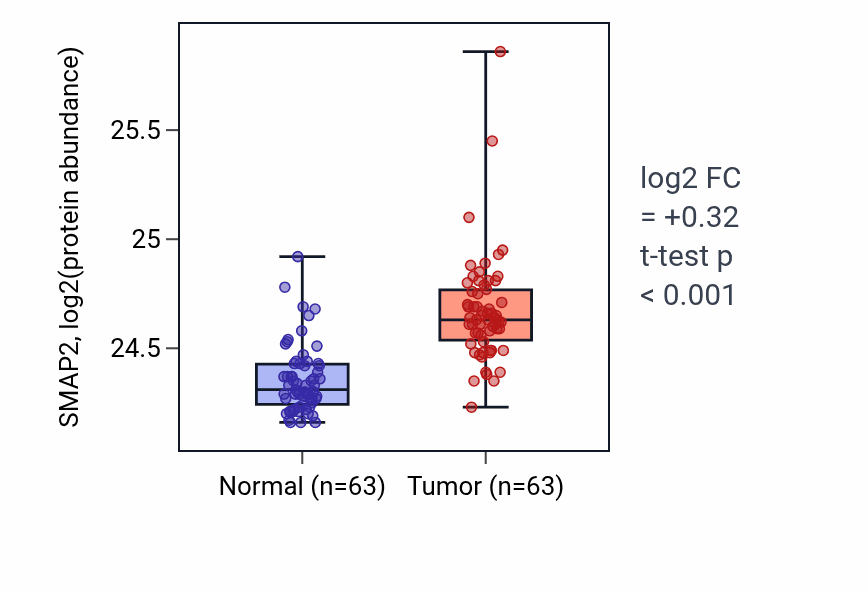 Tumor-vs-normal mass-spec protein box plot for SMAP2 in CCRCC.