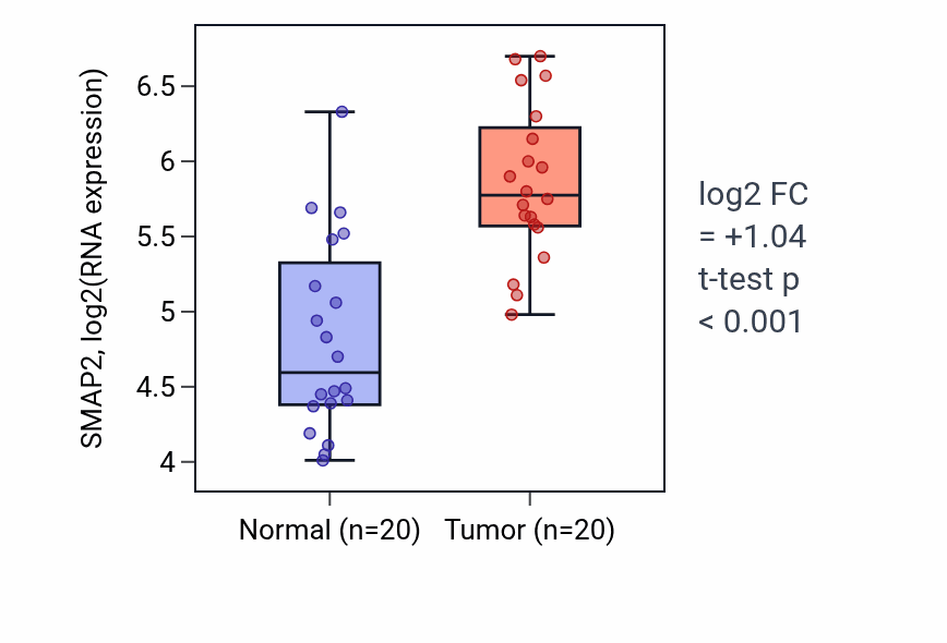Tumor-vs-normal expression box plot for SMAP2 RNA in KIRC.