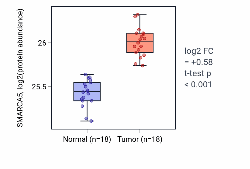 Tumor-vs-normal mass-spec protein box plot for SMARCA5 in COAD.