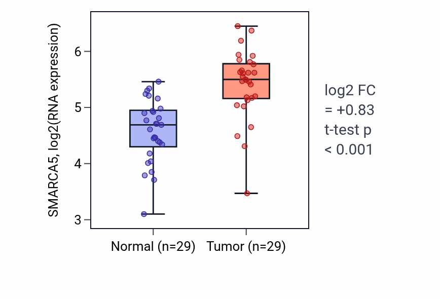 Tumor-vs-normal expression box plot for SMARCA5 RNA in HNSC.