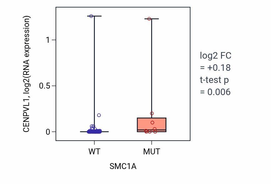 Box plot of CENPVL1 in SMC1A-low vs SMC1A-high samples in BLOOD_Leukemia.