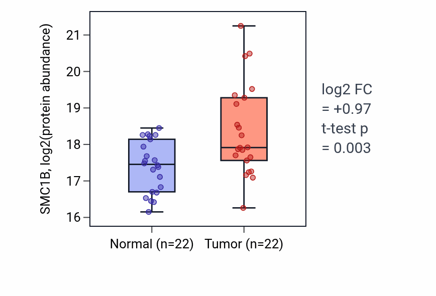 Tumor-vs-normal mass-spec protein box plot for SMC1B in LSCC.