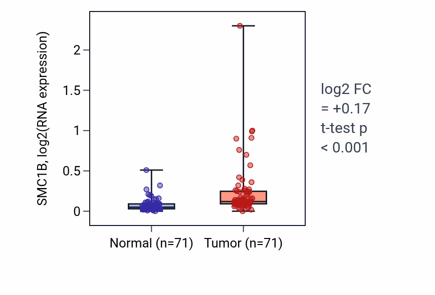 Tumor-vs-normal expression box plot for SMC1B RNA in KIRC.