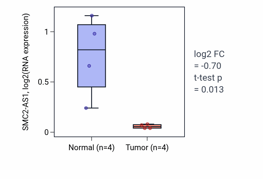 Tumor-vs-normal expression box plot for SMC2-AS1 in BLCA.