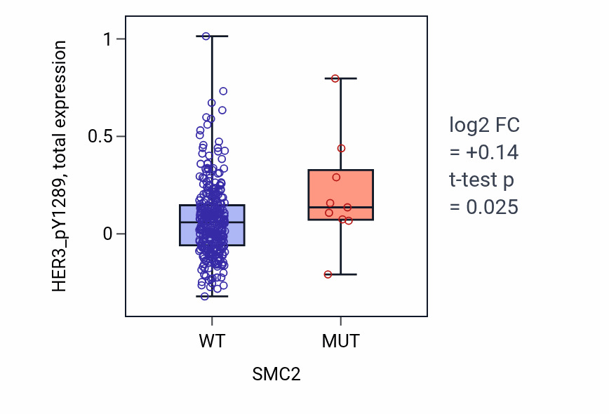 Box plot of HER3_pY1289 in SMC2-low vs SMC2-high samples in BLCA.
