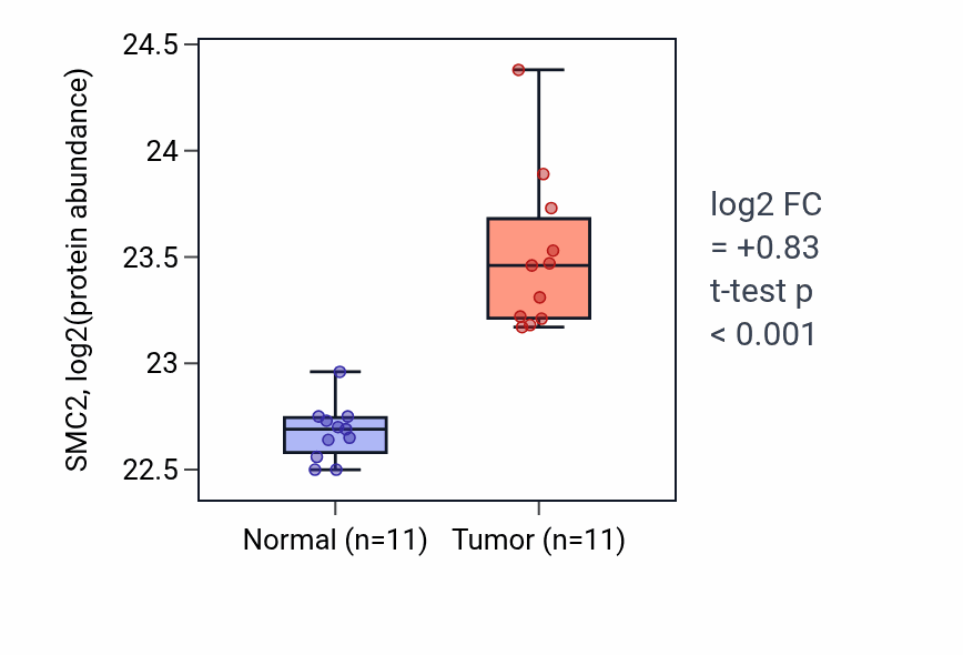 Tumor-vs-normal mass-spec protein box plot for SMC2 in CCRCC.