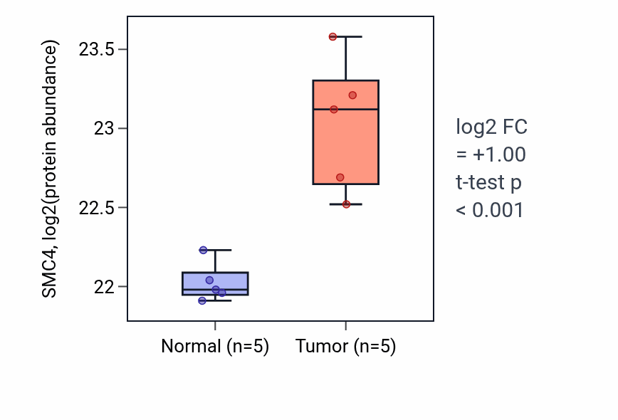 Tumor-vs-normal mass-spec protein box plot for SMC4 in CCRCC.
