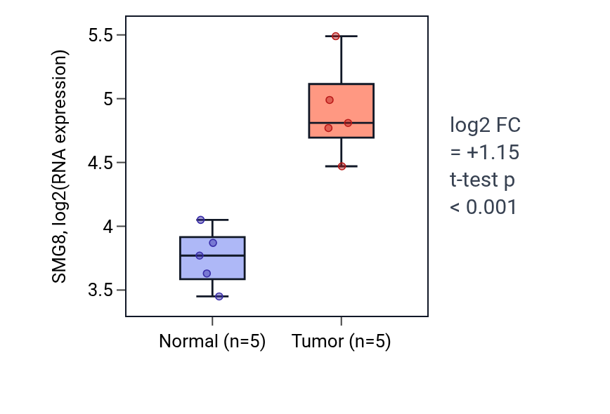 Tumor-vs-normal expression box plot for SMG8 in KIRP.