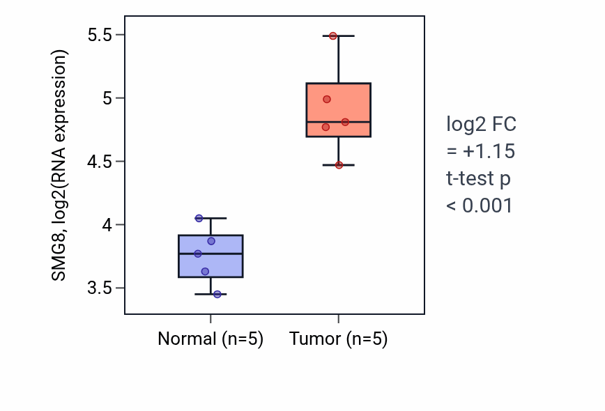 Tumor-vs-normal expression box plot for SMG8 RNA in KIRP.