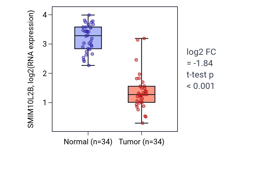 Tumor-vs-normal expression box plot for SMIM10L2B in KIRC.