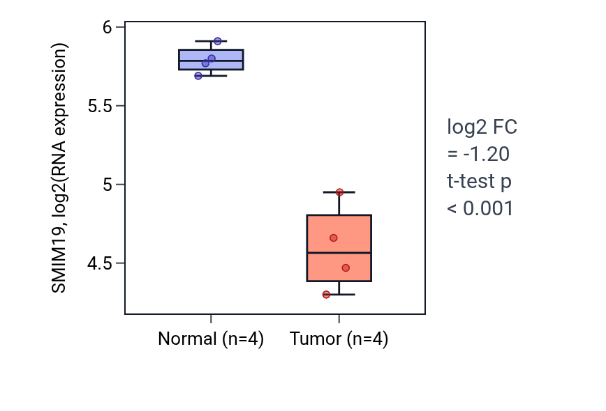 Tumor-vs-normal expression box plot for SMIM19 in THCA.