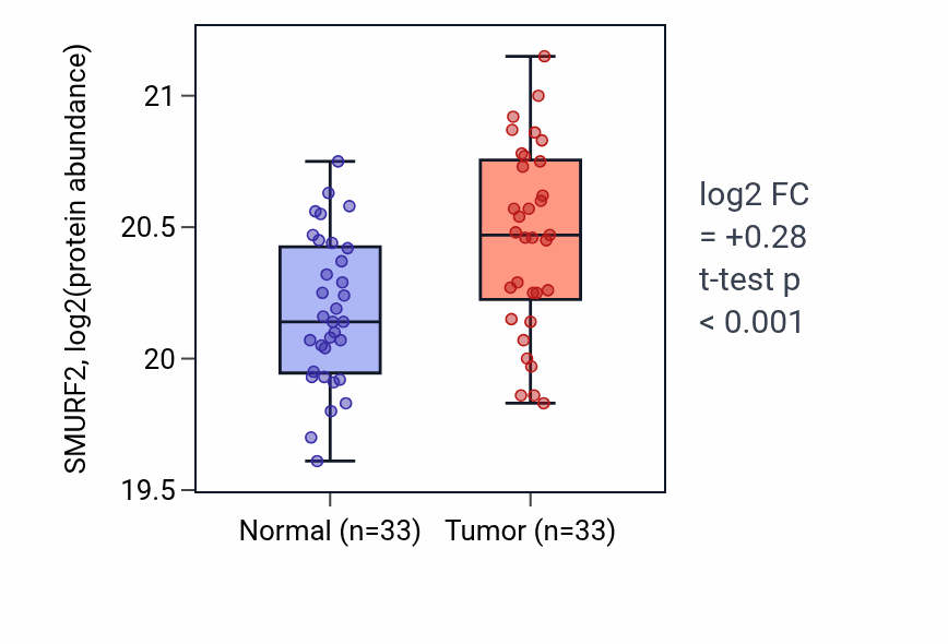 Tumor-vs-normal mass-spec protein box plot for SMURF2 in HNSC.